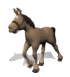 horse_with_halter_trotting_sm_wht.gif (11900 bytes)