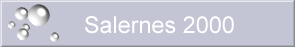 salernes 2000